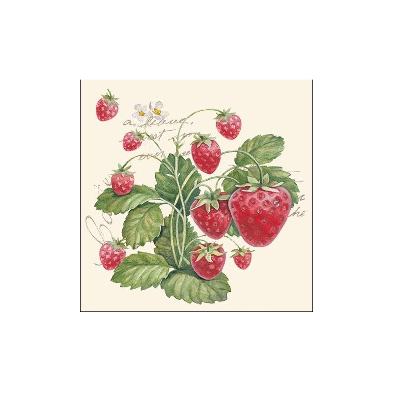 Servetter Jordgubbe Midsommar 20-pack