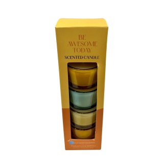 Doftljus 4-pack Presentförpackning Pineapple & Neroli