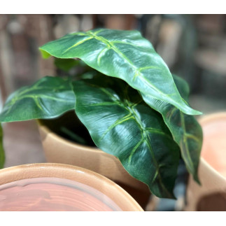 Konstgjord Växt Philodendron 25 cm
