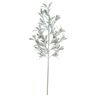 Kvist Cypress Bär 71 cm