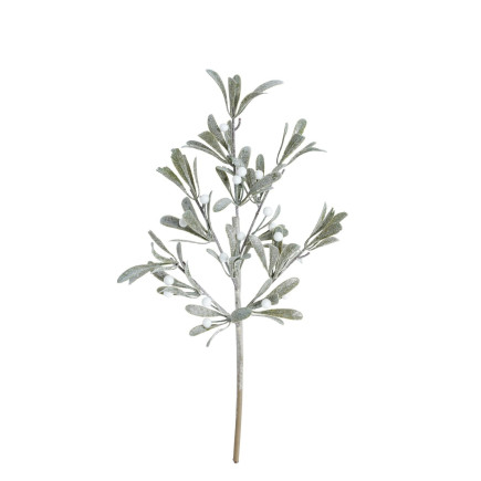 Kvist Cypress Bär 51 cm