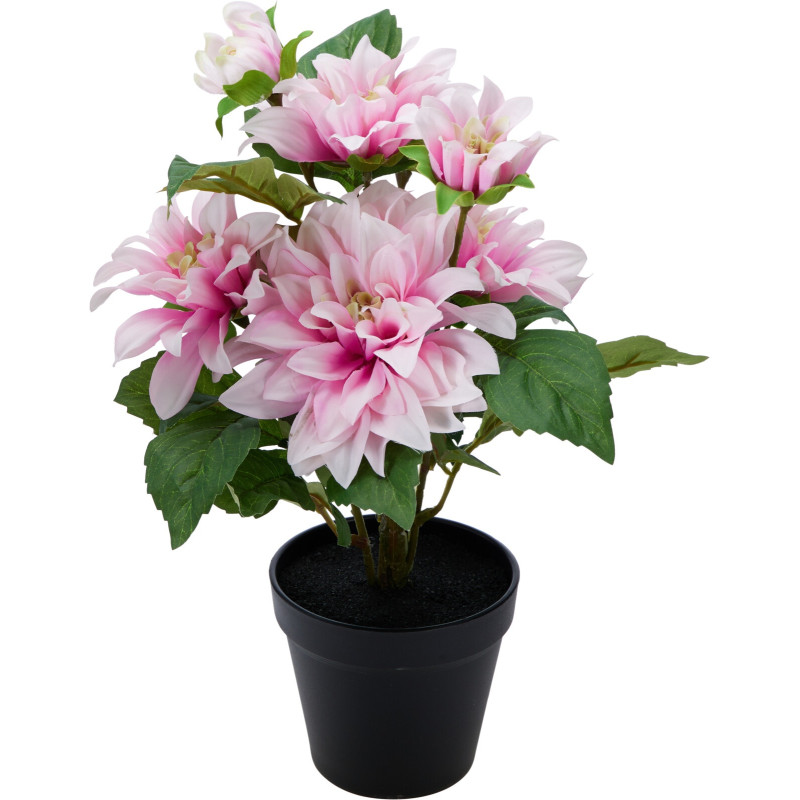 Dahlia i kruka Rosa 42 cm