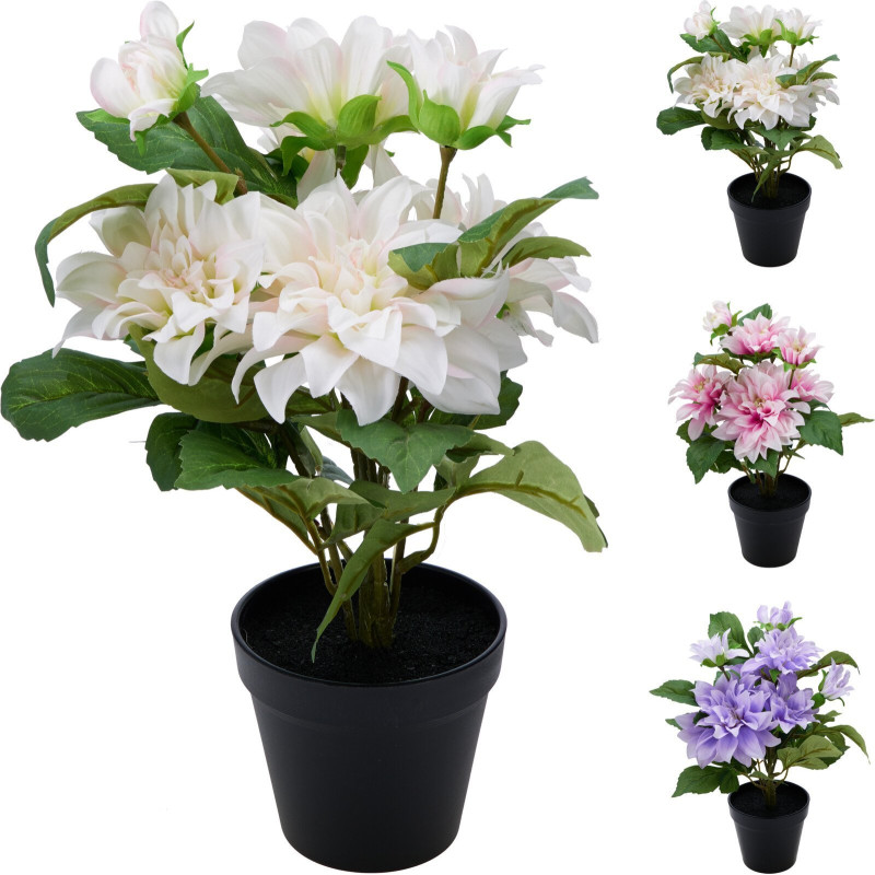 Dahlia i kruka Rosa 42 cm