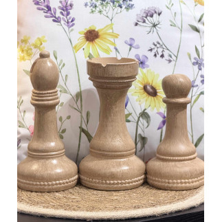 Schackpjäser Schack Träfärgade