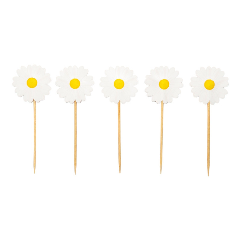 Tandpetare Student 50-pack
